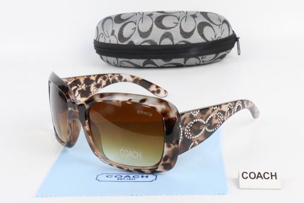 C0ACH Boutique Sunglasses 019